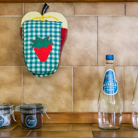 Malownicza Polana Centrum 扎科帕内