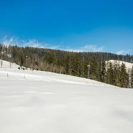 Malownicza Polana Centrum 木屋