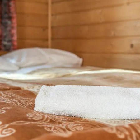 Malownicza Polana Centrum 木屋 扎科帕内