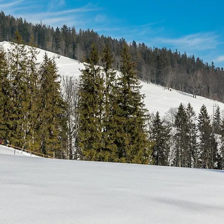 Malownicza Polana Centrum *