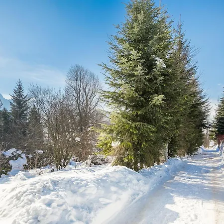 Malownicza Polana Centrum 木屋